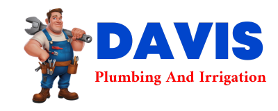 Trusted plumber in DEXTER